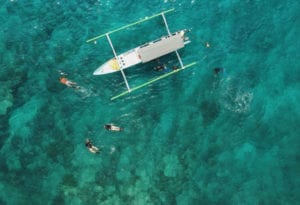things to do in pemuteran, north of bali