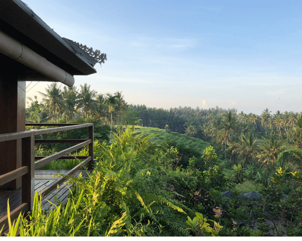 Bali Vacation Travel Guide 2025
