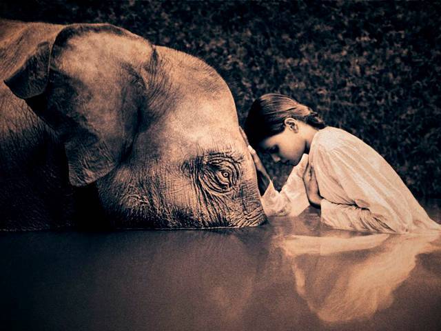 gregory colbert ashes and snow print photography exhibit release dates